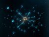 Why Data Quality Is the Foundation of Successful AI Projects