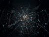 The Location Revolution: How Geolocation Transforms Business